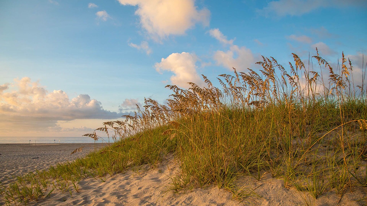 Photo of Others in Rodanthe