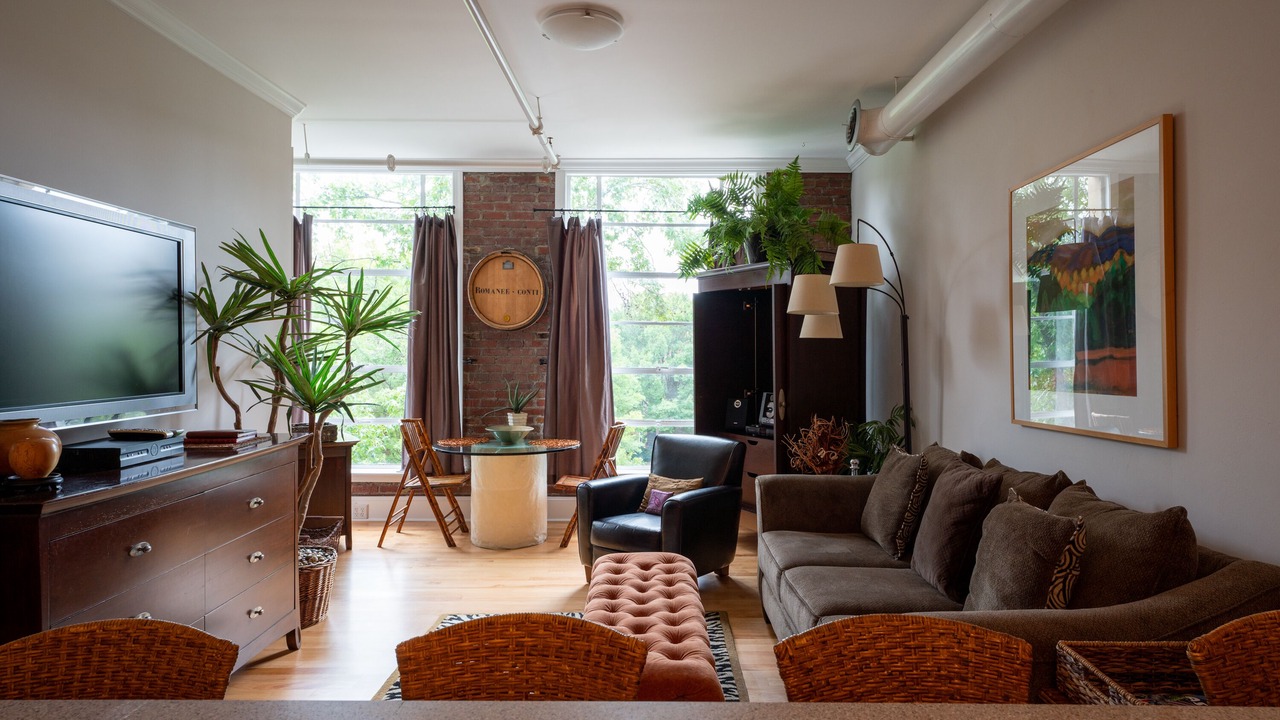 Photo of Livingroom in Downtown Asheville