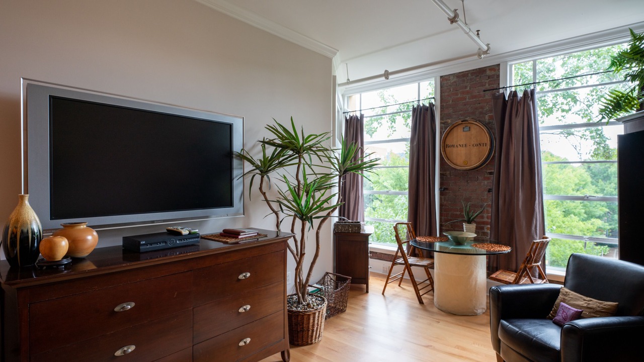 Photo of Livingroom in Downtown Asheville