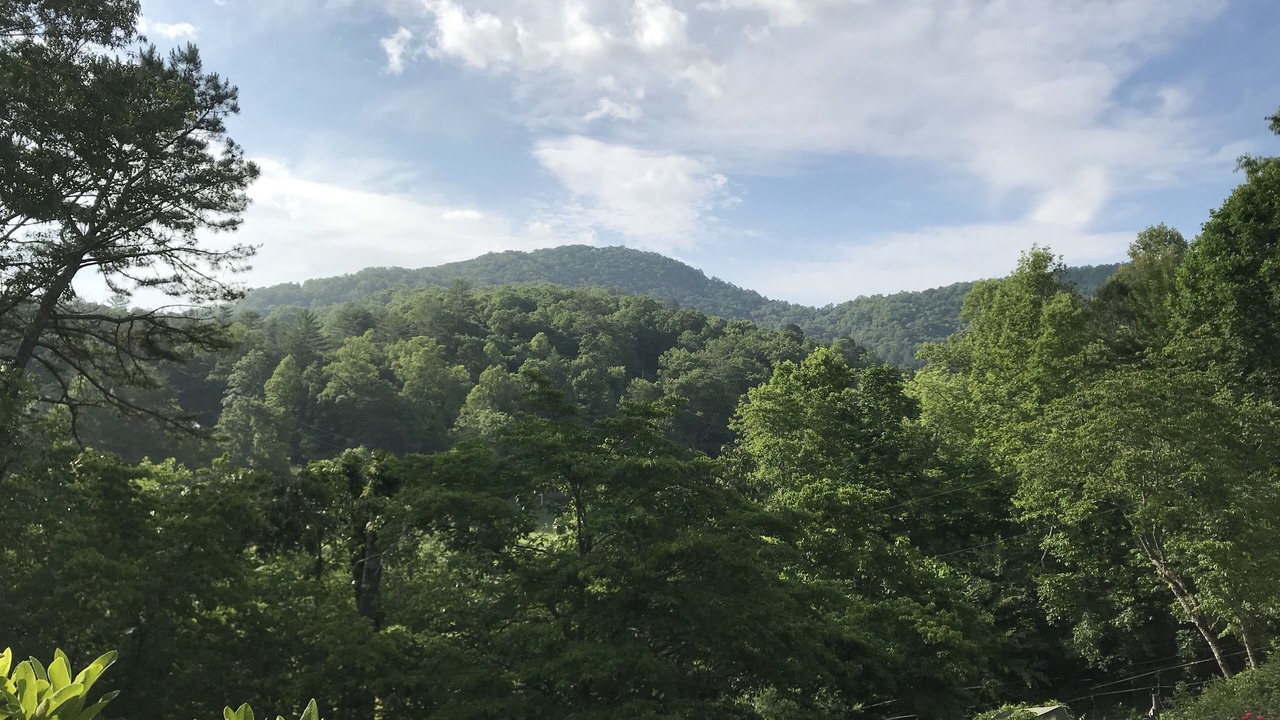 Photo of Others in Franklin