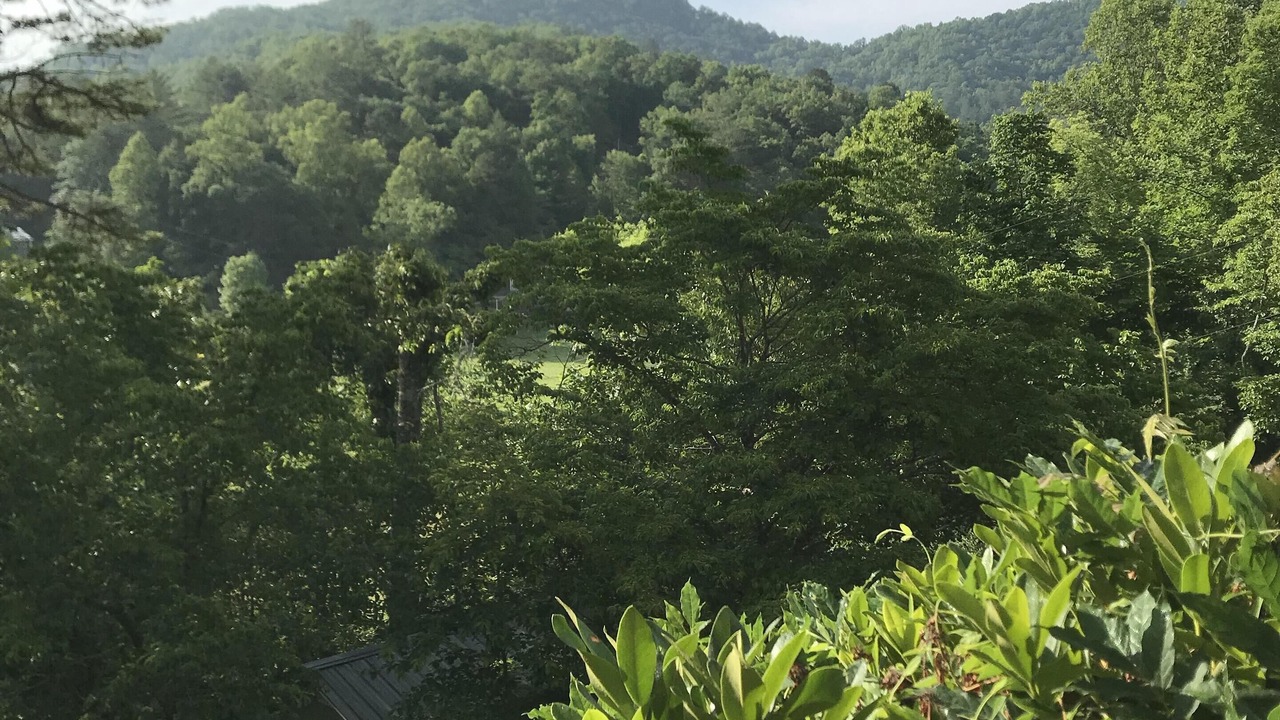 Photo of Outdoor in Franklin