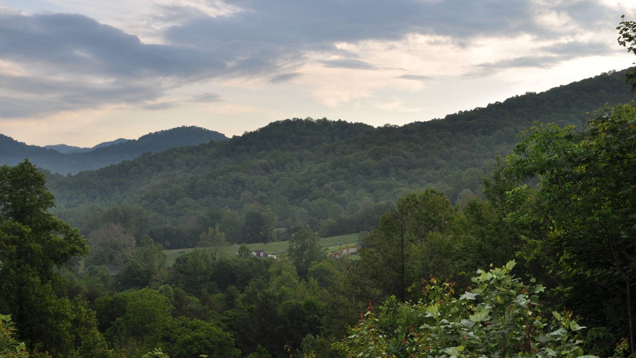 Photo of Others in Waynesville