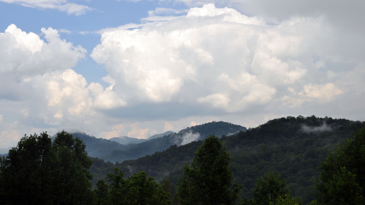 Photo of Others in Waynesville