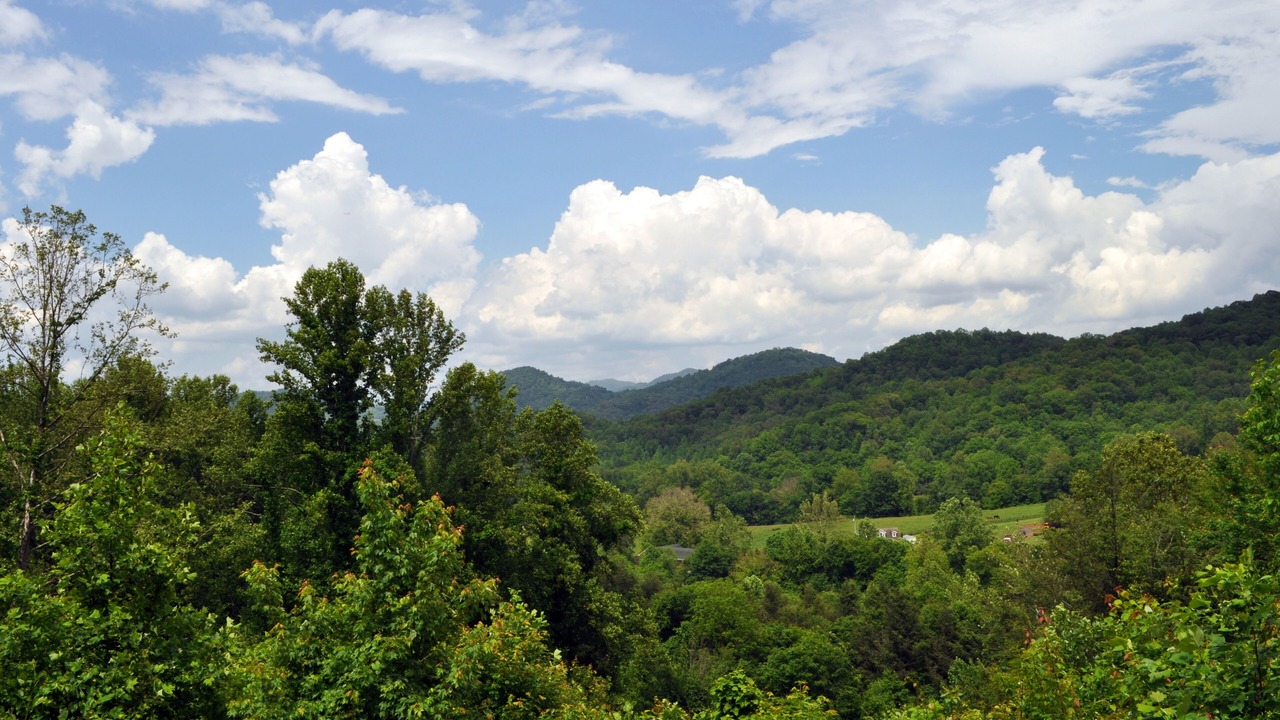Photo of Others in Waynesville
