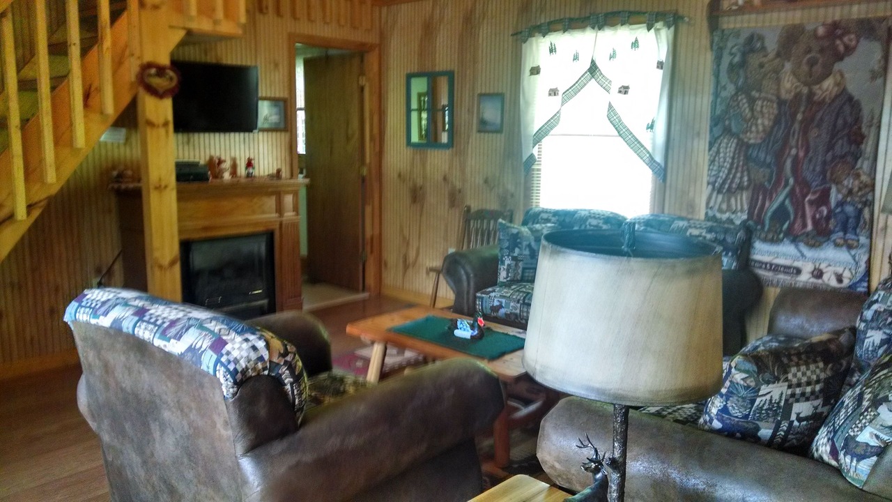 Photo of Livingroom in Waynesville