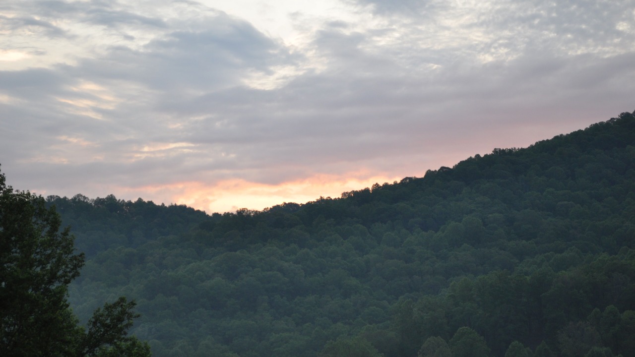 Photo of Others in Waynesville