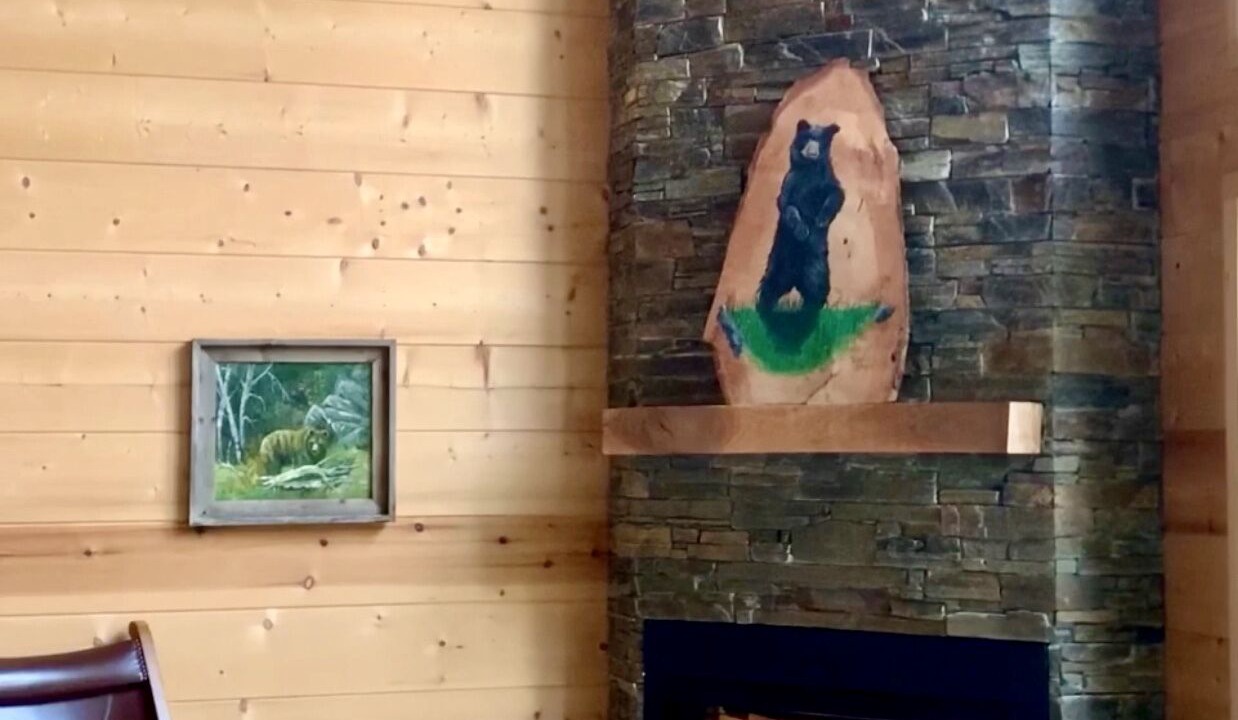 Photo of Livingroom in Franklin