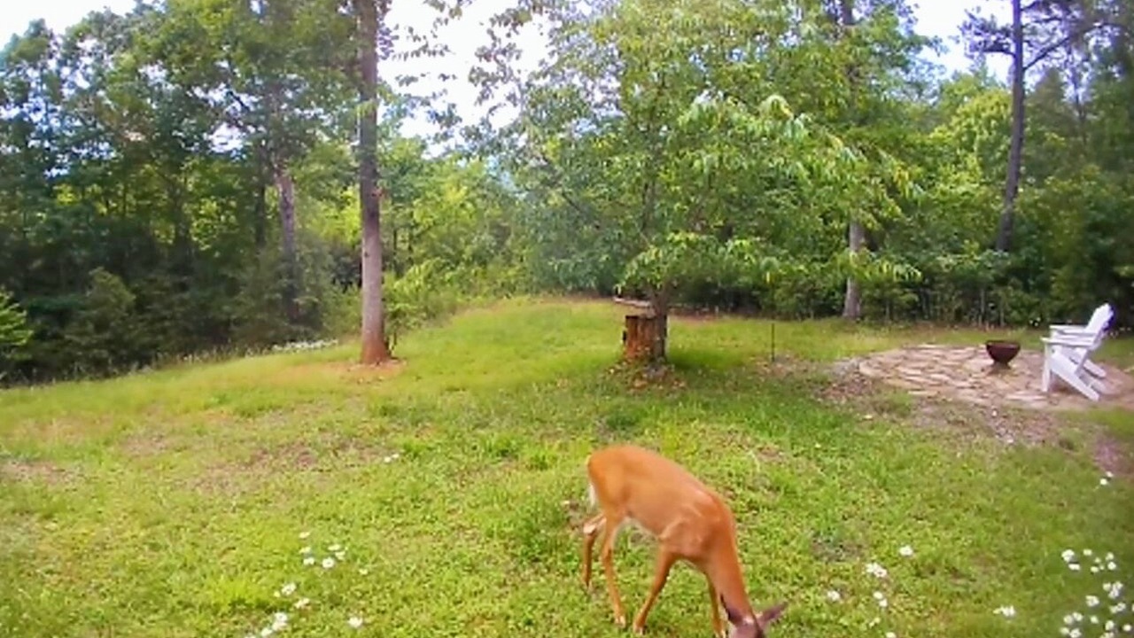 Photo of Others in Franklin