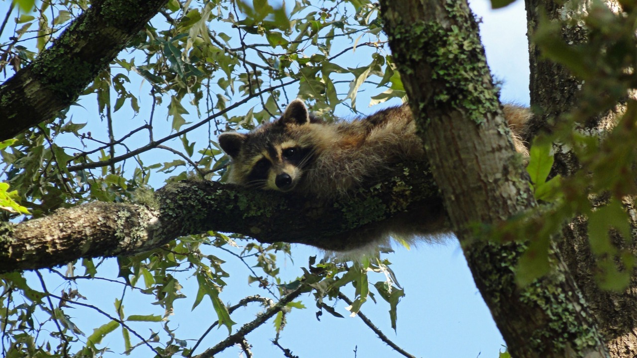 Photo of Others in Franklin