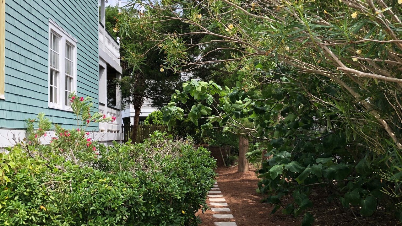 Photo of Outdoor in Shell Island