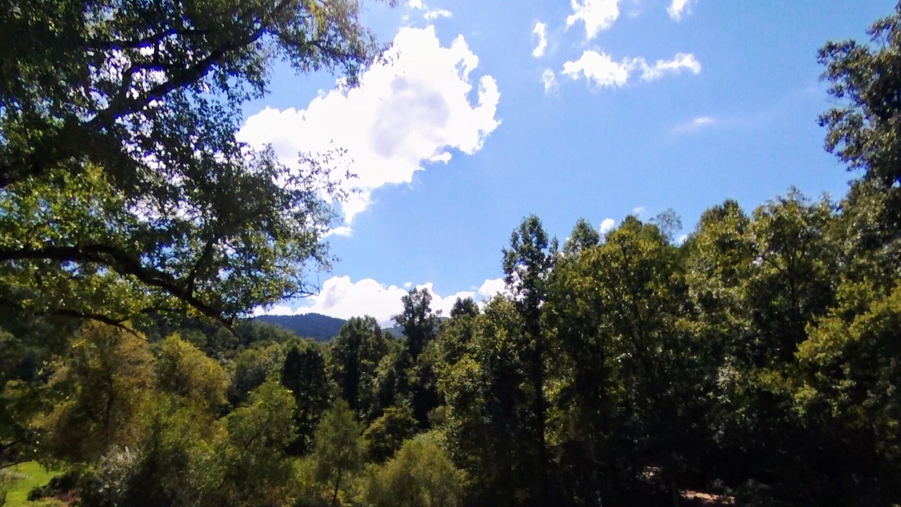 Photo of Outdoor in Robbinsville
