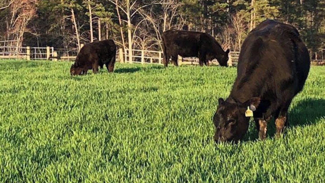 Photo of Outdoor in Hickory