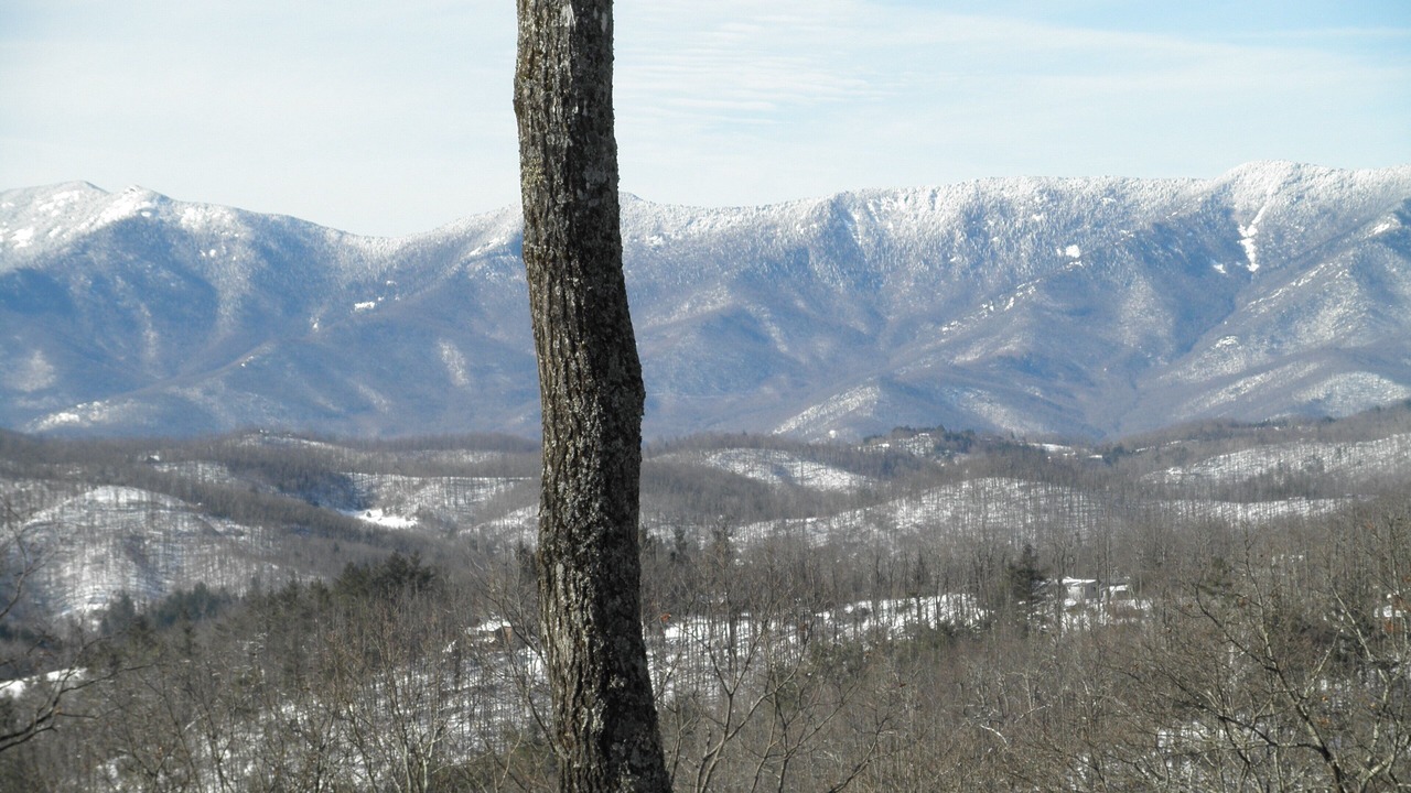Photo of Others in Little Switzerland