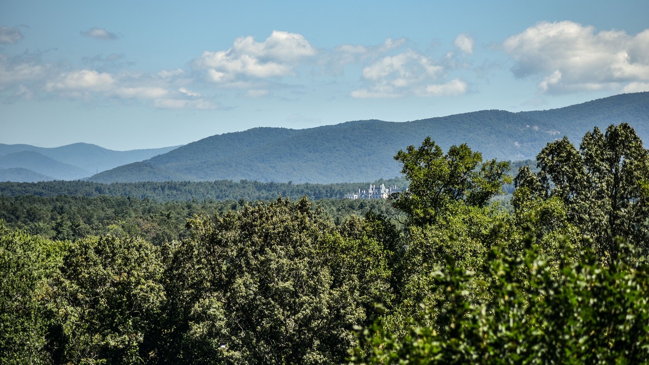 Photo of Others in Skyland