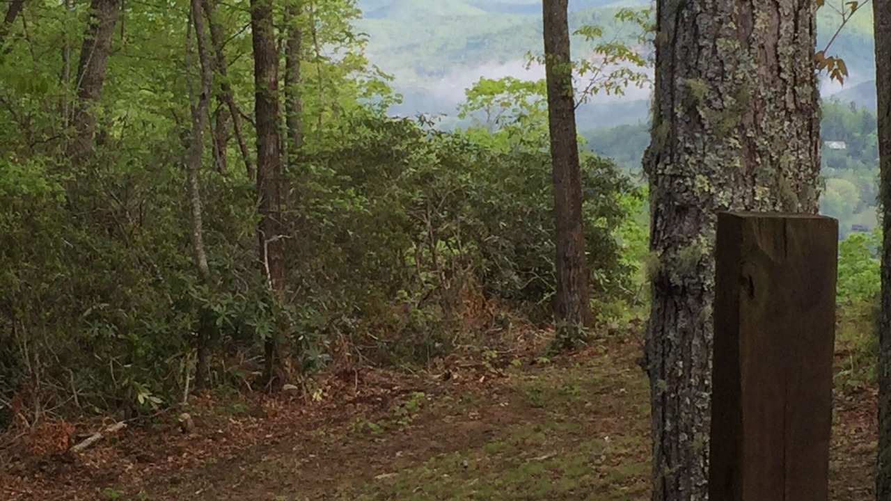Photo of Others in Hendersonville