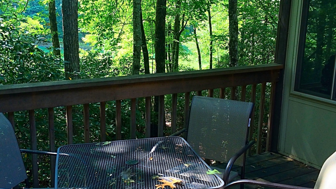 Photo of Outdoor in Brevard