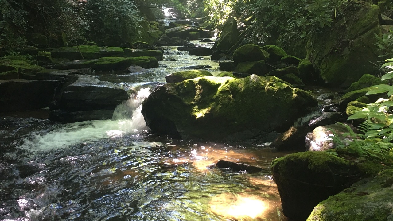 Photo of Outdoor in Brevard