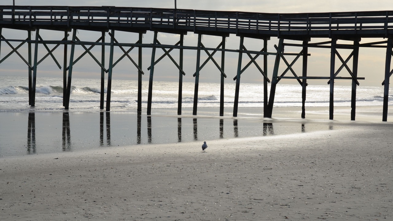 Photo of Others in Ocean Isle Beach