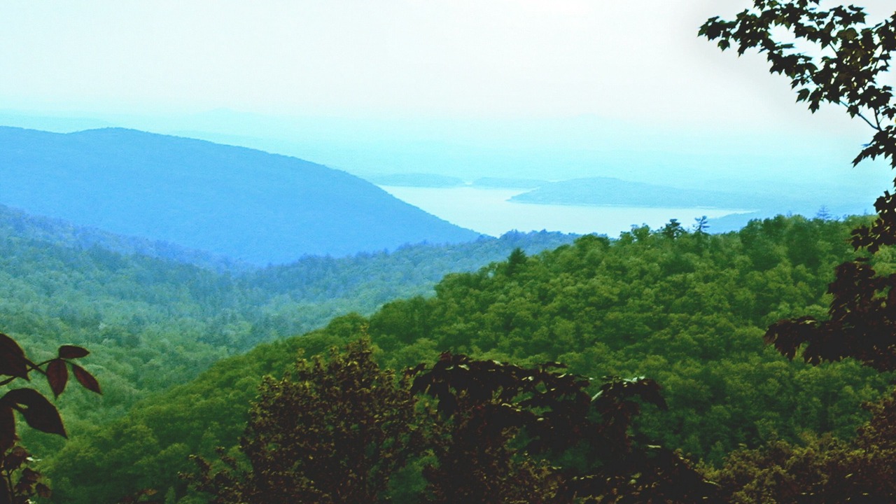 Photo of Others in Rosman