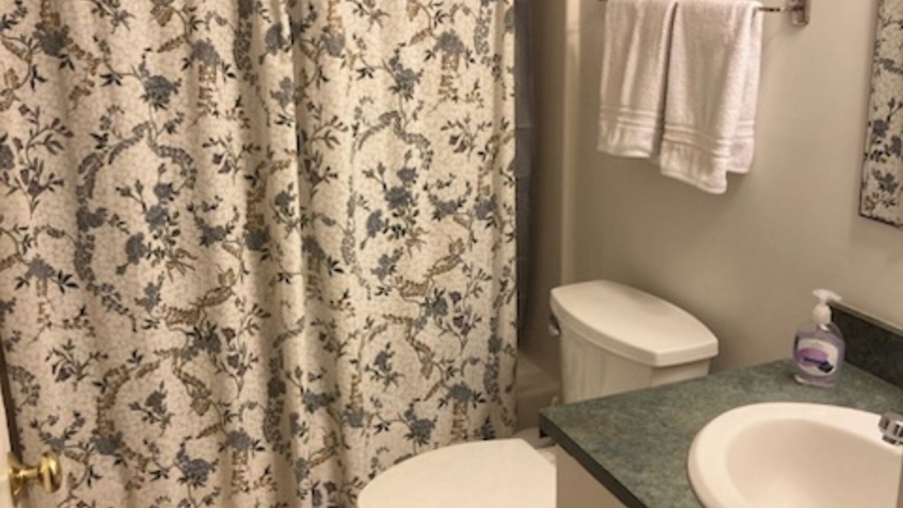 Photo of Bathroom in Rosman