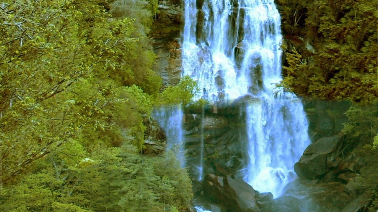 Photo of Others in Rosman