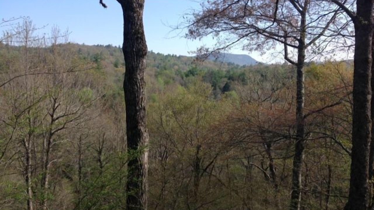 Photo of Others in Highlands Hills
