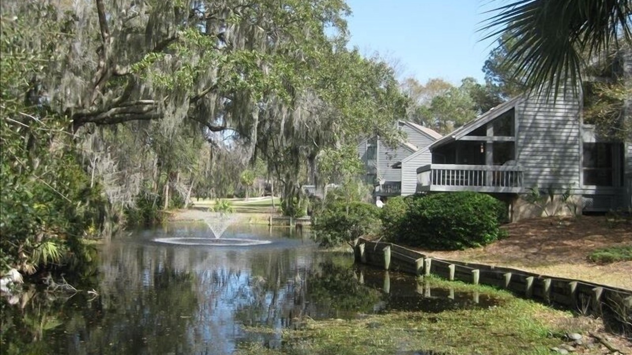 Photo of Outdoor in Palmetto Dunes