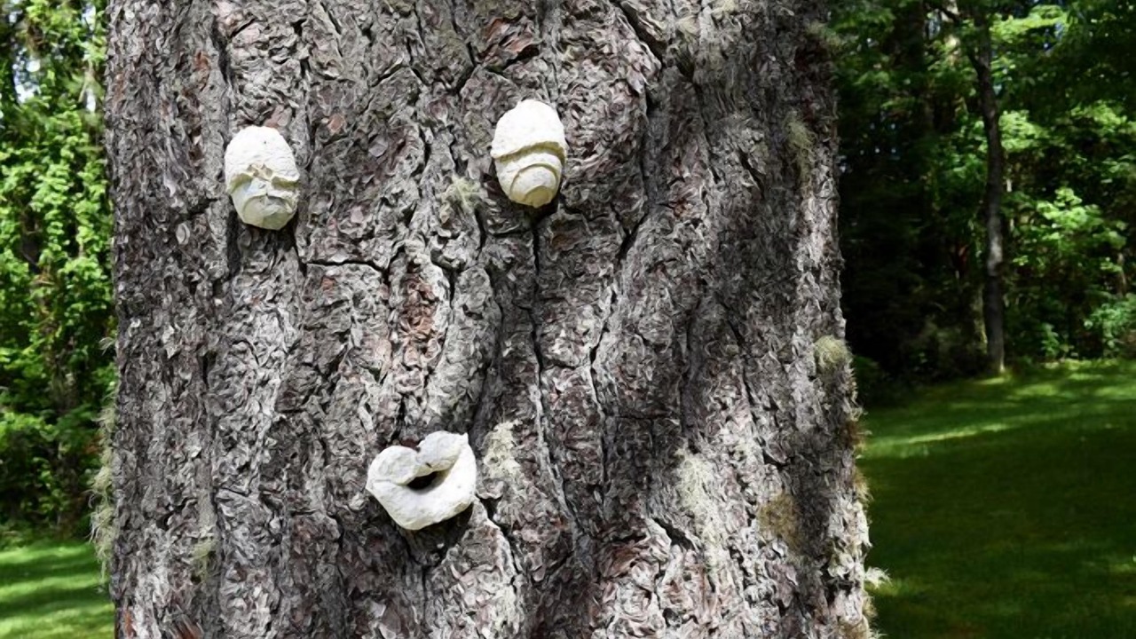 Photo of Others in Highlands