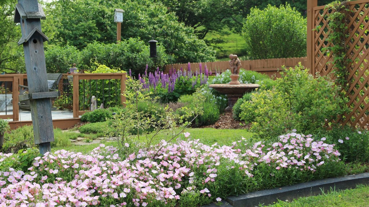 Photo of Outdoor in Waynesville