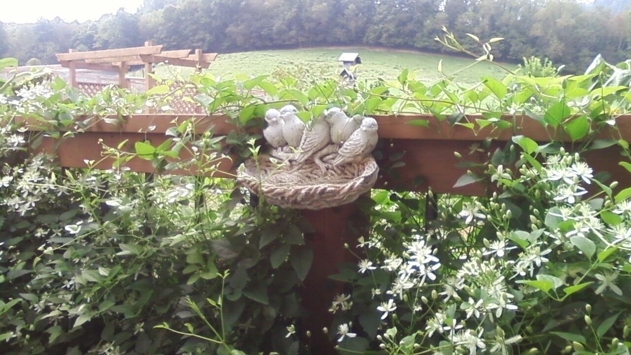 Photo of Outdoor in Waynesville