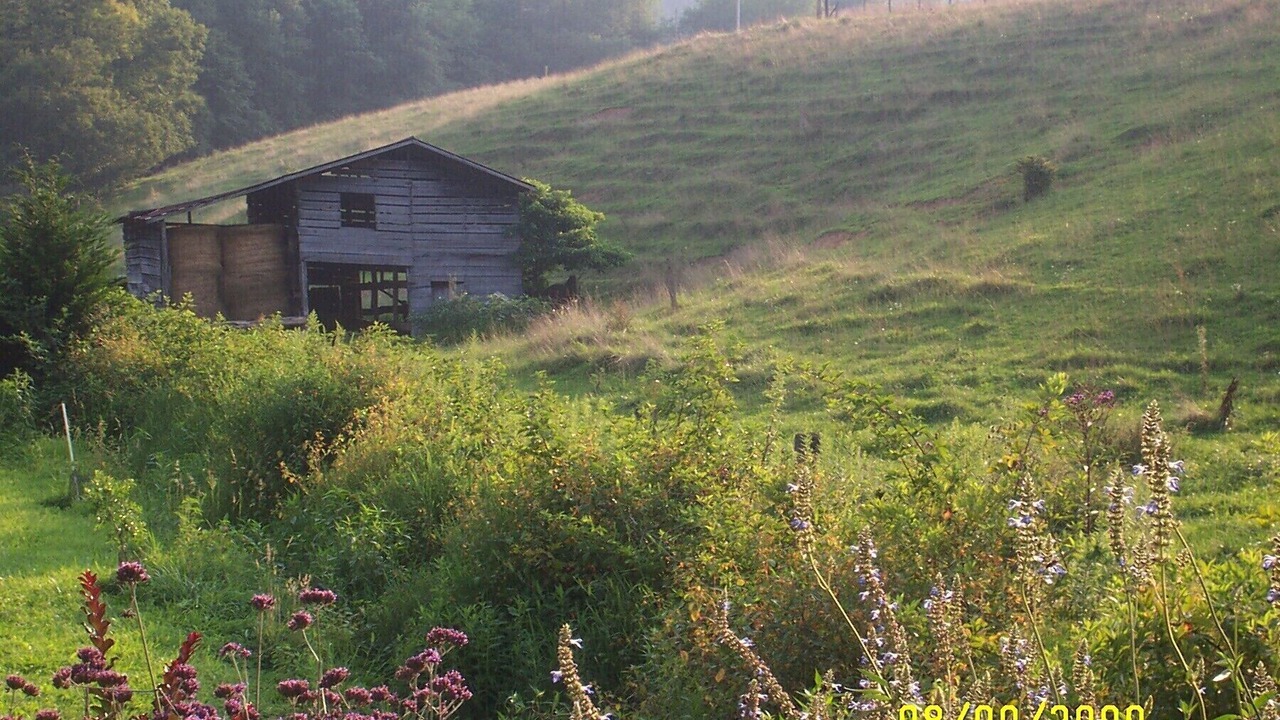Photo of Outdoor in Waynesville
