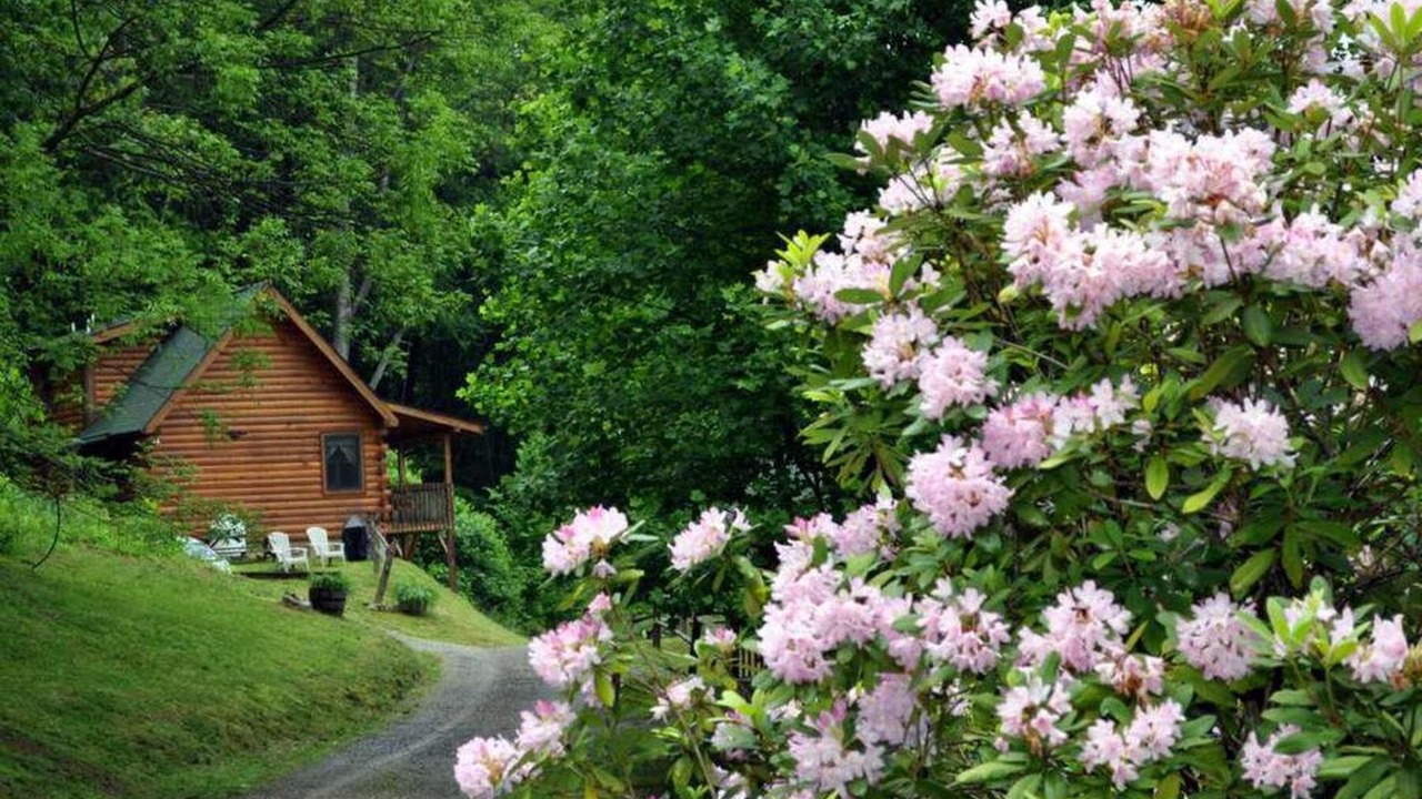 Photo of Outdoor in Waynesville