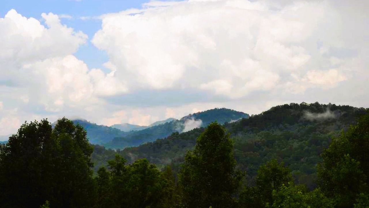 Photo of Outdoor in Waynesville