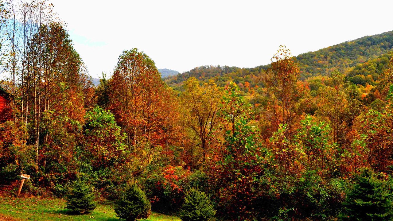 Photo of Outdoor in Waynesville