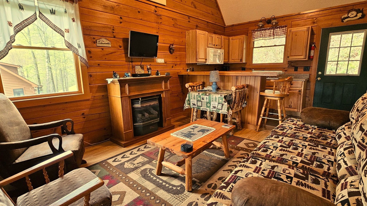 Photo of Livingroom in Waynesville