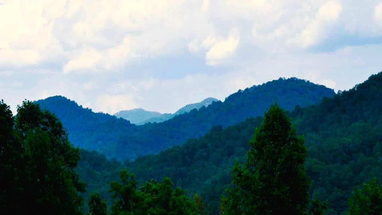 Photo of Others in Waynesville