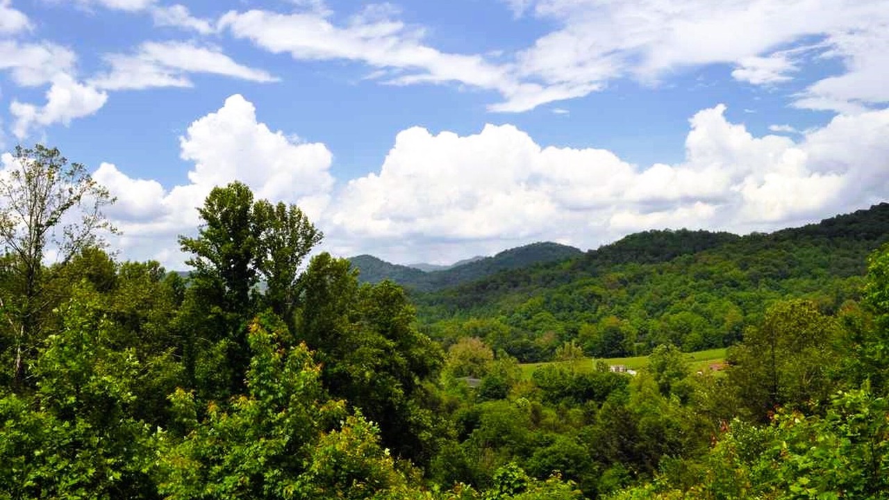 Photo of Outdoor in Waynesville