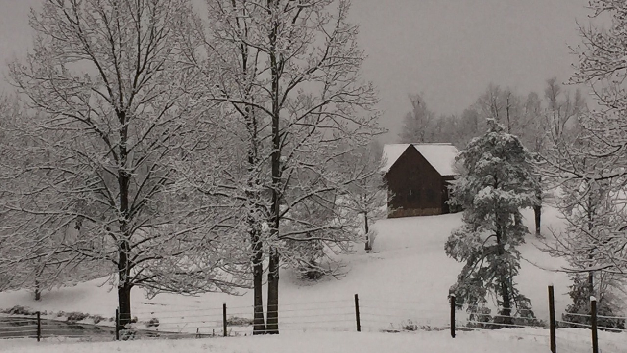 Photo of Others in Mount Airy