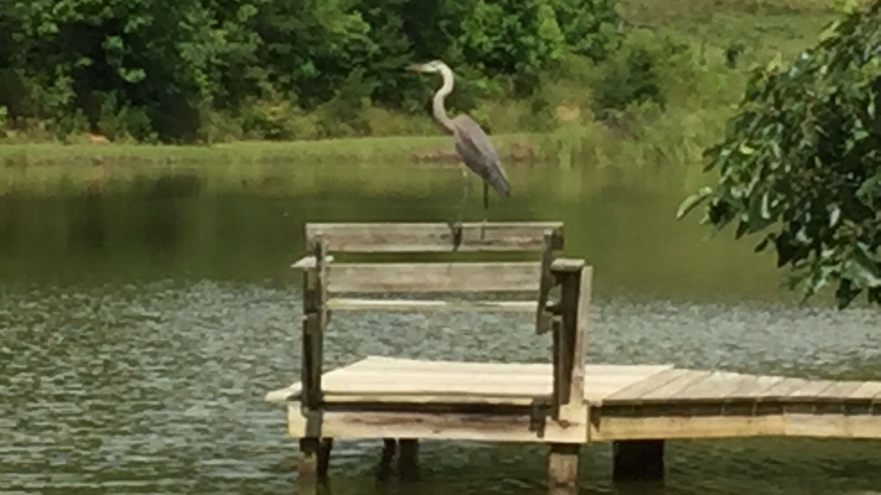 Photo of Outdoor in Mount Airy