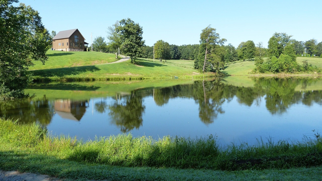 Photo of Outdoor in Mount Airy