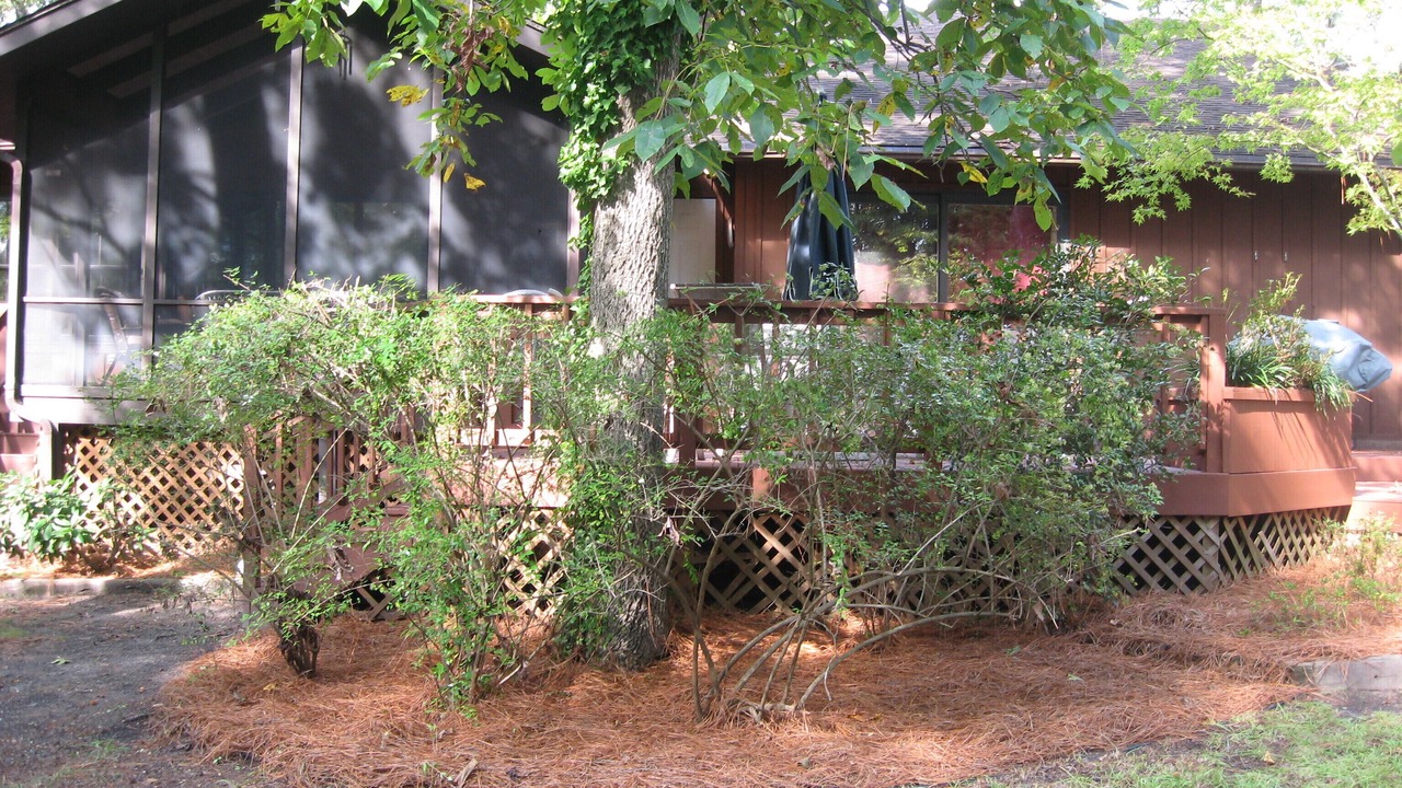 Photo of Outdoor in Pinehurst