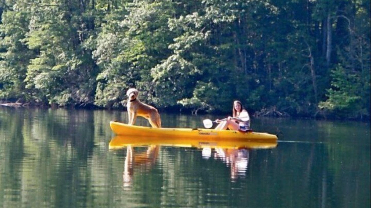 Photo of Others in Robbinsville