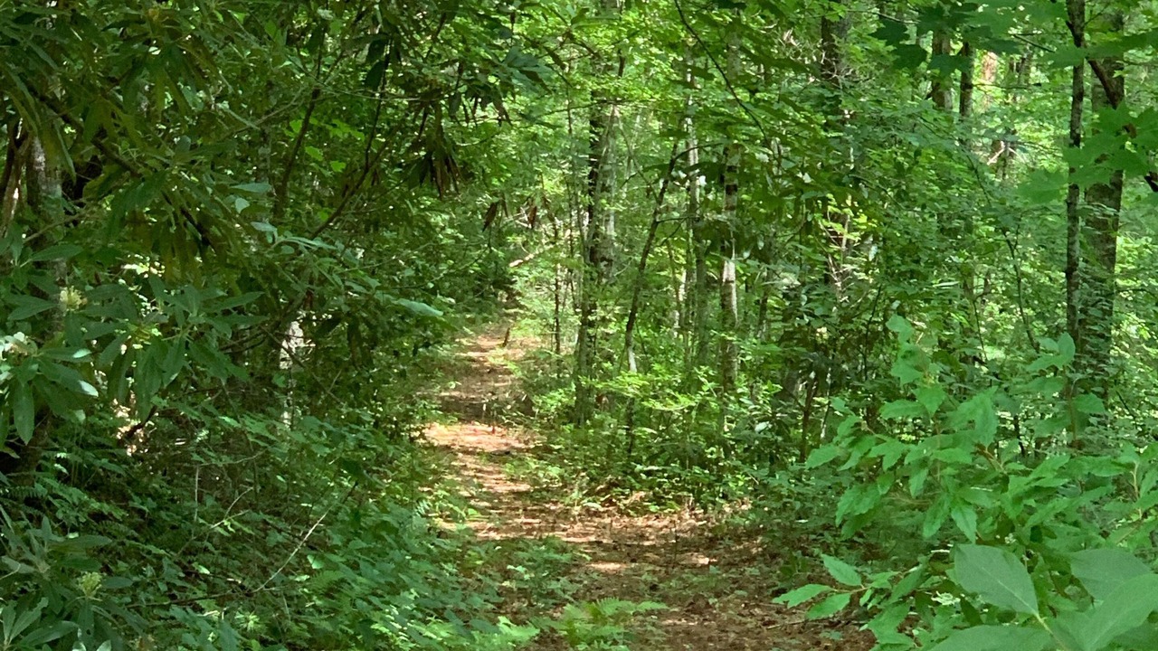 Photo of Outdoor in Robbinsville