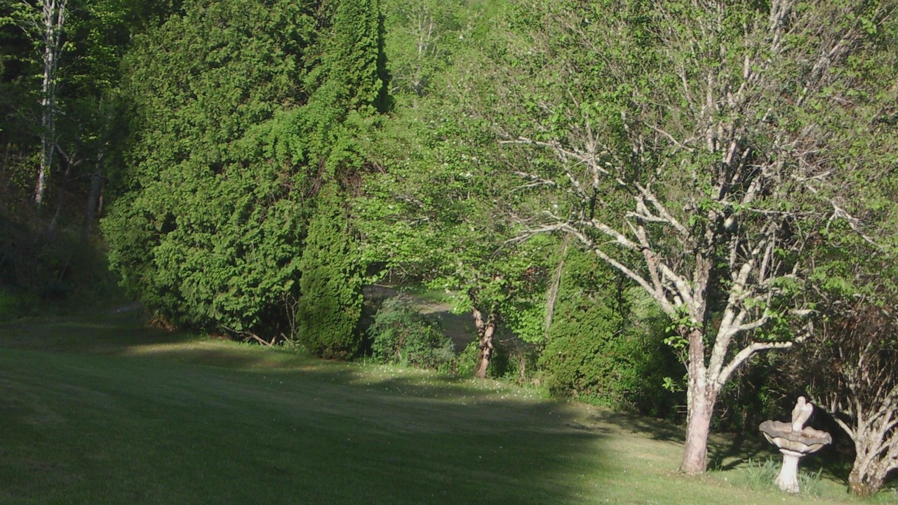 Photo of Others in Green Mountain