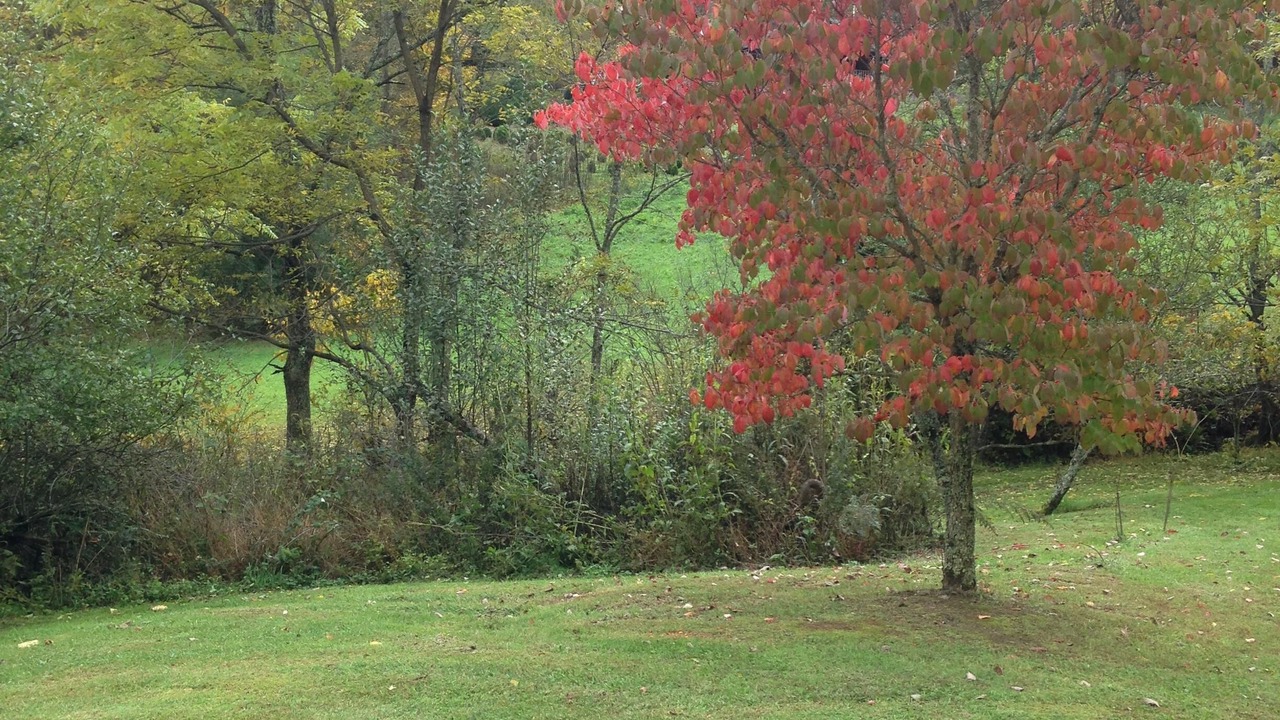 Photo of Outdoor in Green Mountain