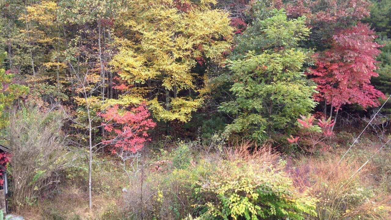 Photo of Outdoor in Green Mountain