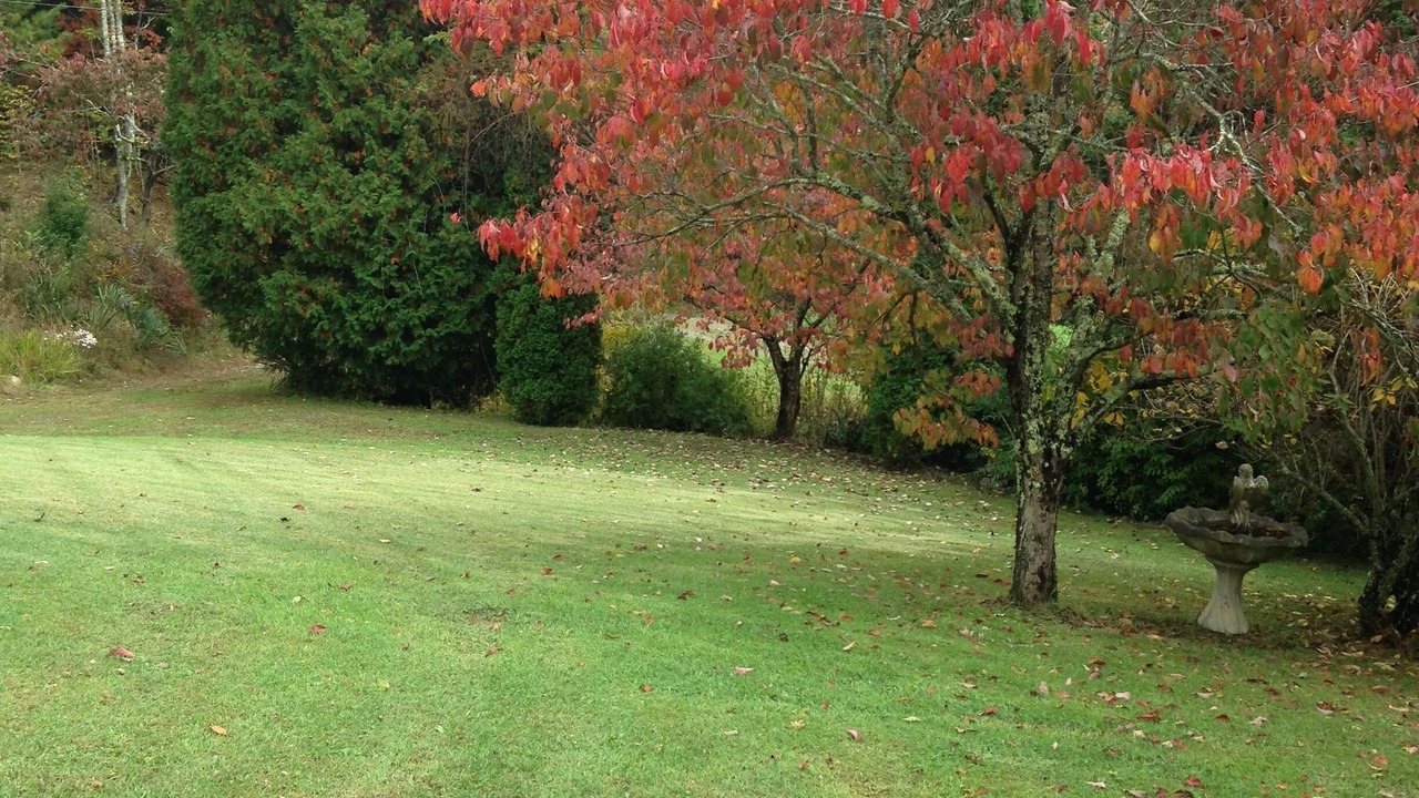 Photo of Others in Green Mountain