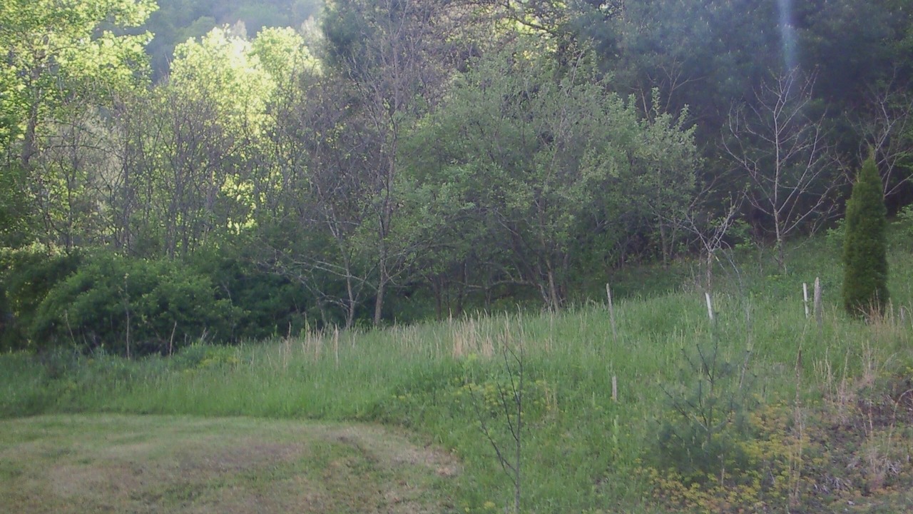 Photo of Others in Green Mountain