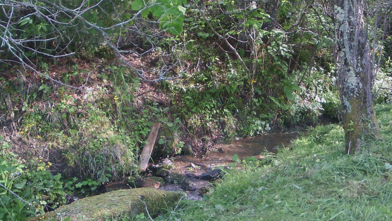Photo of Others in Green Mountain