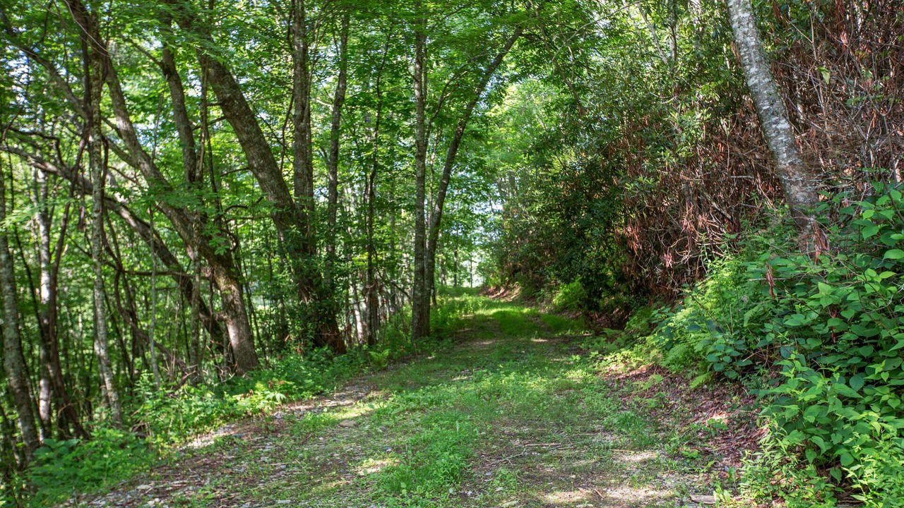 Photo of Outdoor in Topton